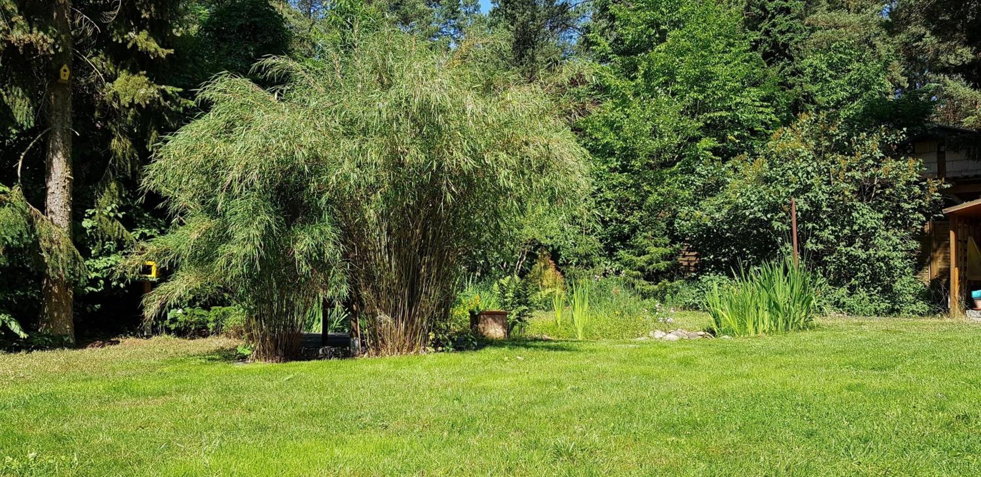 Ferienhaus Fichtenwalde ベーリッツ エクステリア 写真